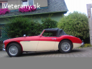 Austih Healey 100/6